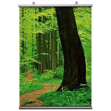 Posterleiste Doppelseitig, Satz, 21 cm