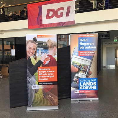 Lux Roll-up Kassete, silber, einseitig